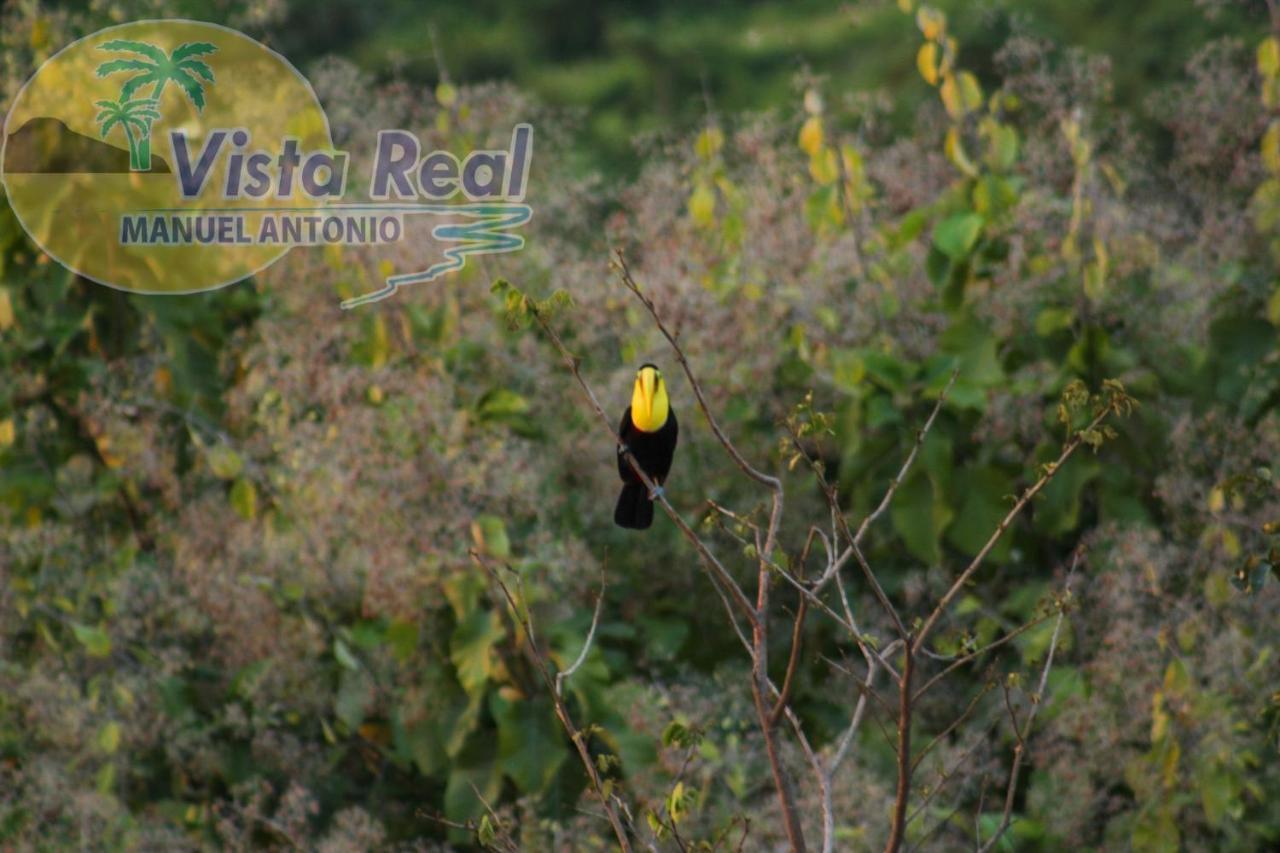 Hotel Vista Real Manuel Antonio Dış mekan fotoğraf
